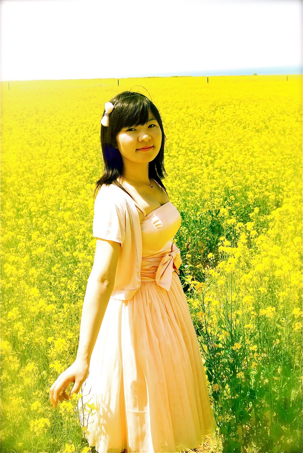 青海湖门源油菜花7月陶醉在浩瀚的金黄里