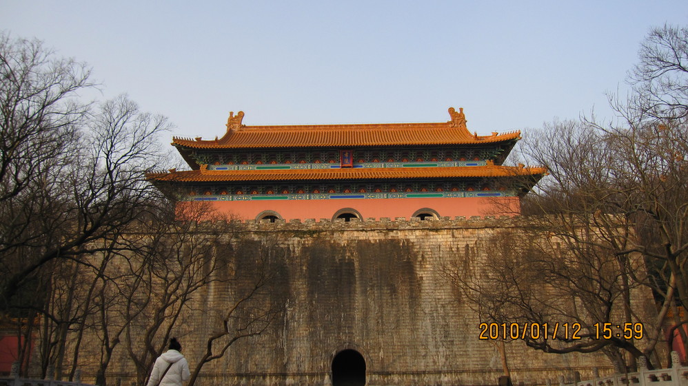 明孝陵 须弥座明孝陵 大红门中山陵 音乐台  鸽子停在我头上,不肯飞了