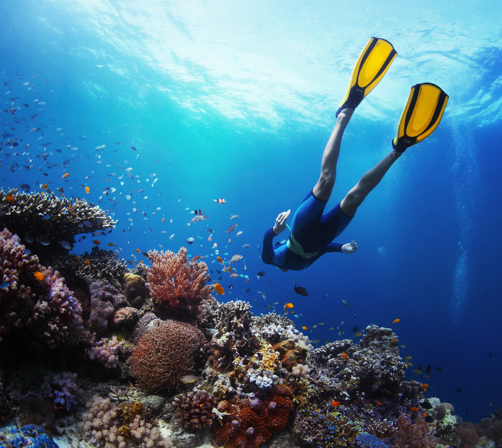 三亚亚龙湾海底世界深潜水摩托艇香蕉船大东海帆船出海一日游