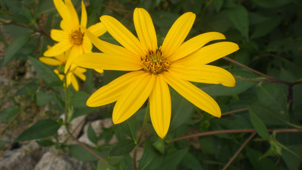 赣县),赣州旅游攻略 - 马蜂窝