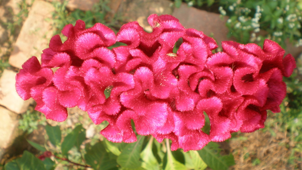 赣县),赣州旅游攻略 - 马蜂窝