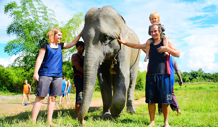 大象之国泰国游记，和大象来一次邂逅的地方