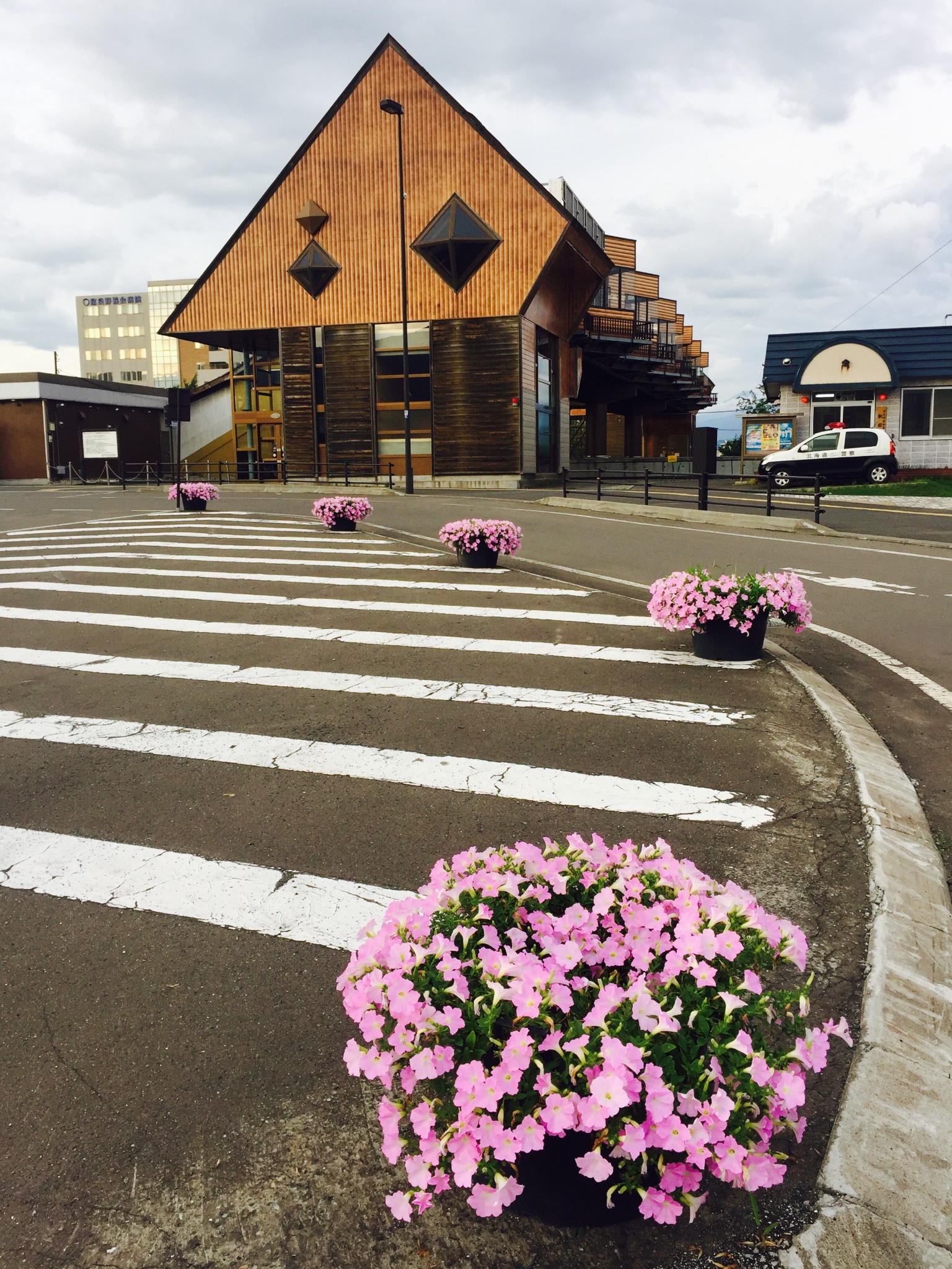 北海道自助遊攻略