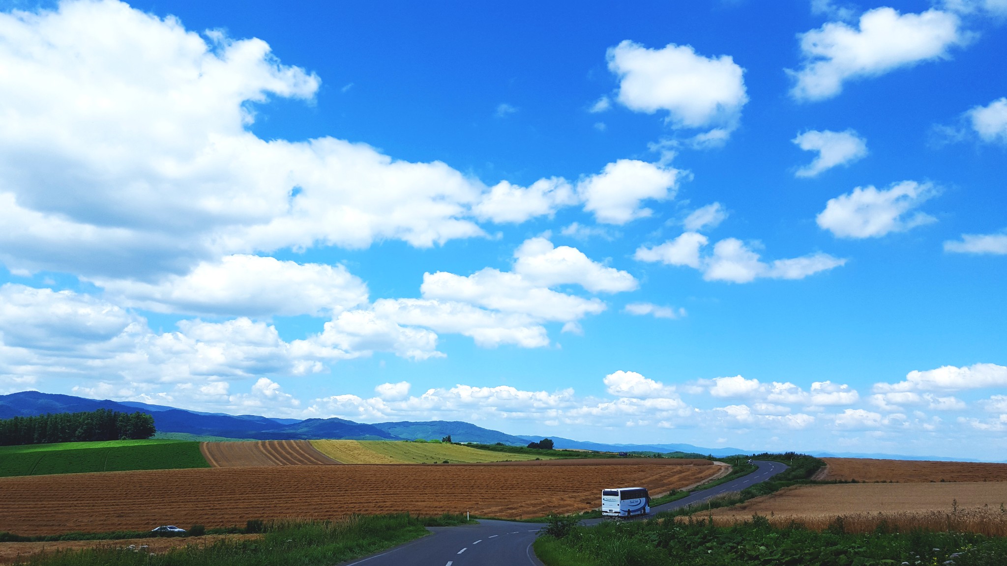 北海道自助遊攻略