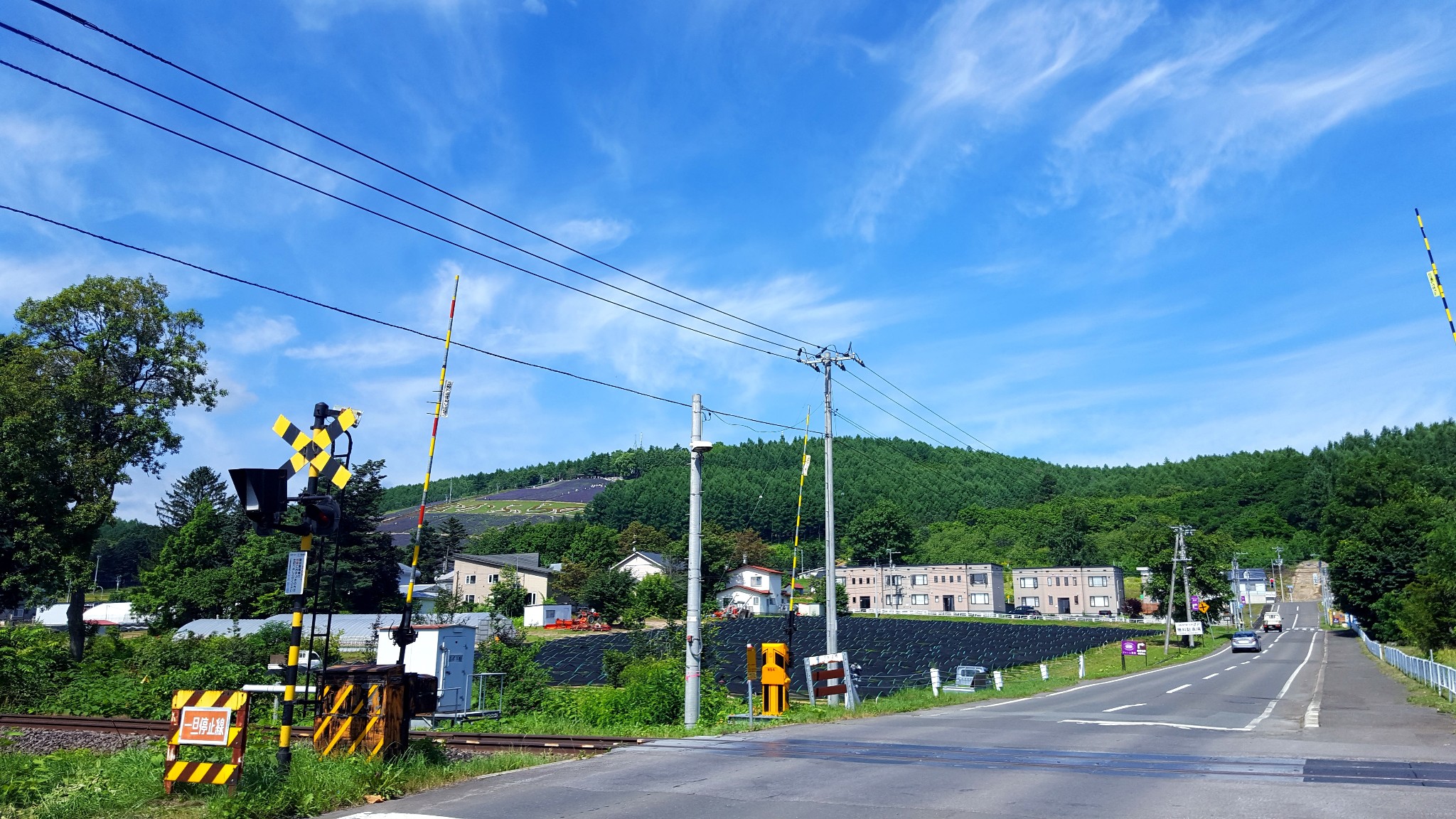 北海道自助遊攻略