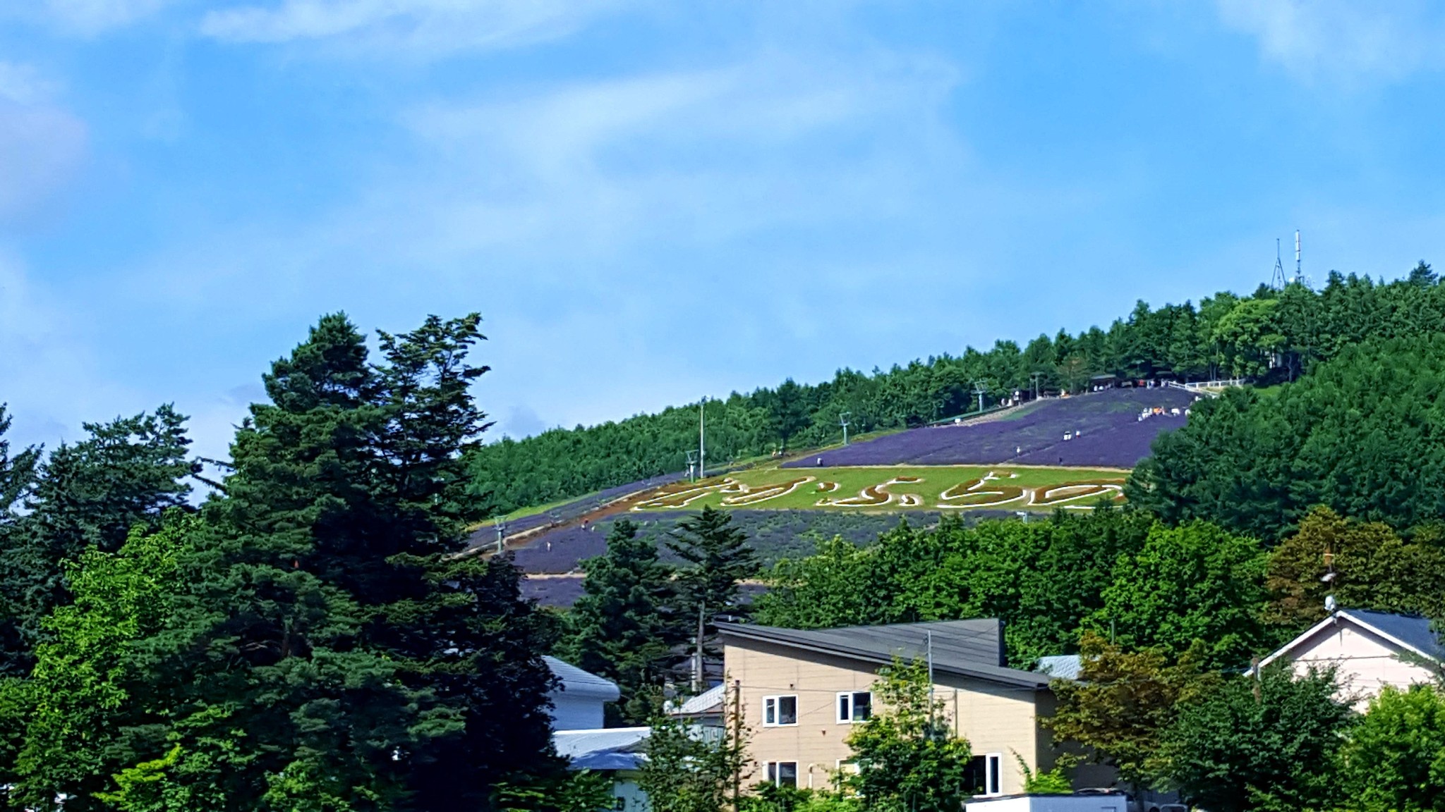 北海道自助遊攻略