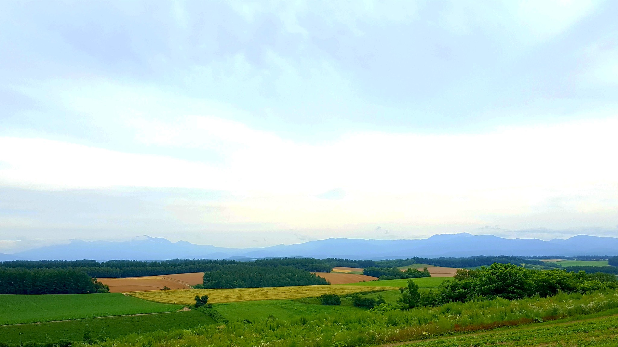 北海道自助遊攻略