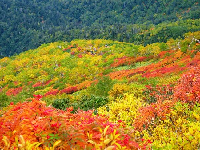 北海道自助遊攻略