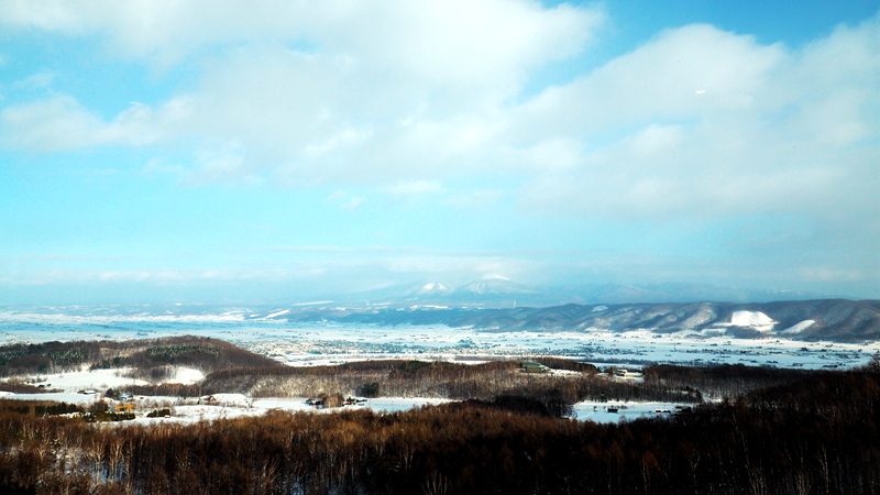 北海道自助遊攻略