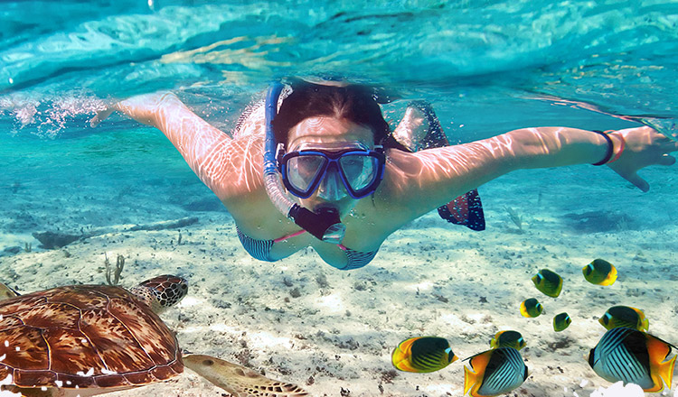 5日甜蜜自驾定制游(凤凰岛度假海景房 沙滩篝火k歌晚会 蜈支洲岛潜水)