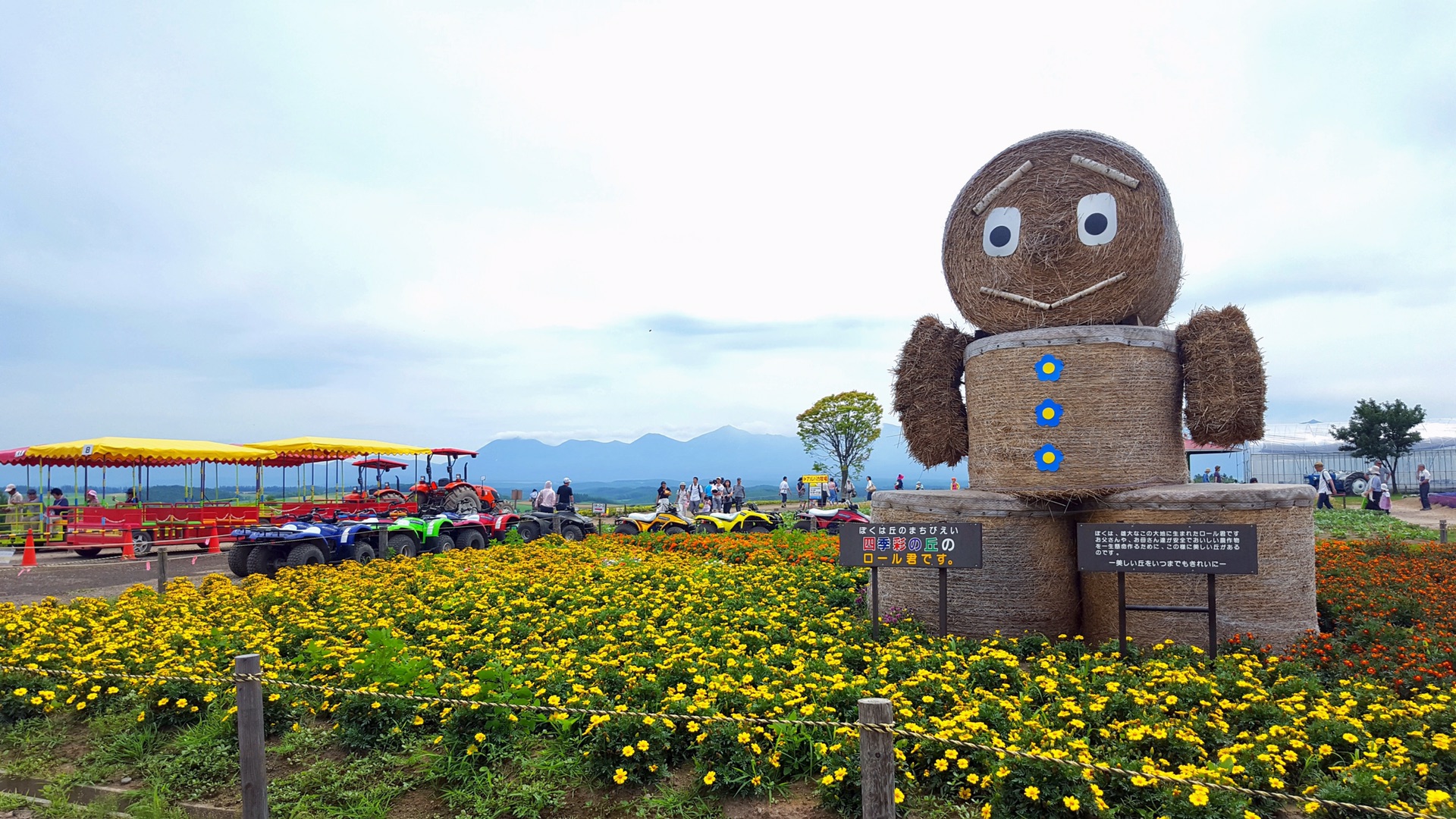 北海道自助遊攻略