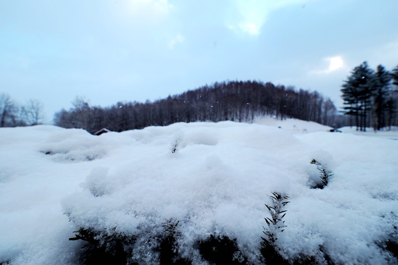 北海道自助遊攻略