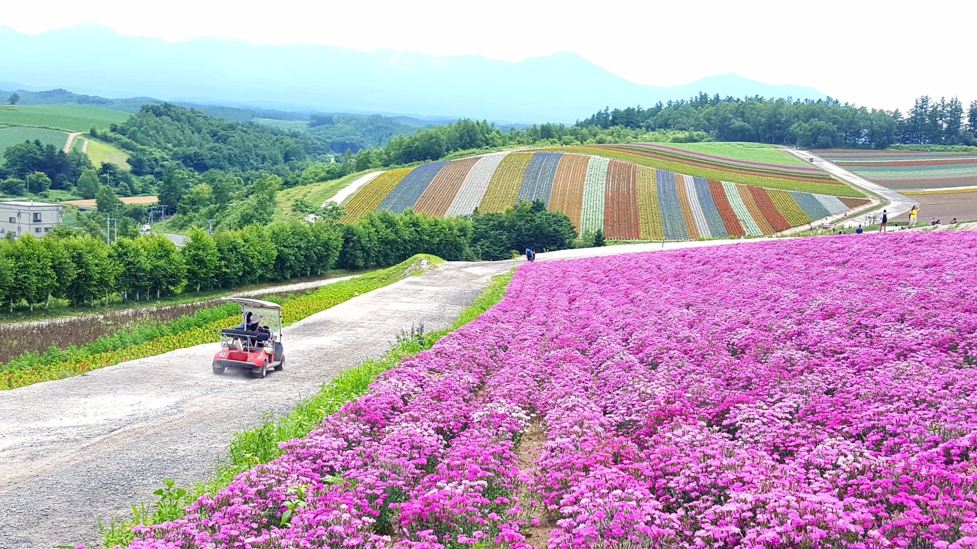 北海道自助遊攻略