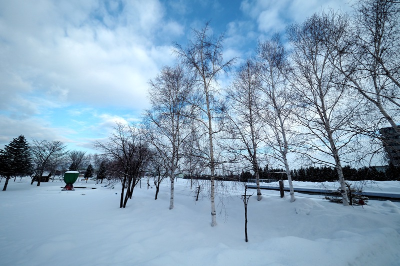 北海道自助遊攻略