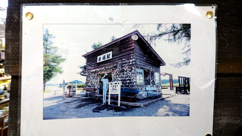 北海道自助遊攻略