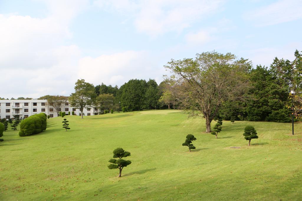 成田机场丽筠酒店预订 成田机场丽筠酒店价格 地址 图片 点评 富里市radisson Narita预订