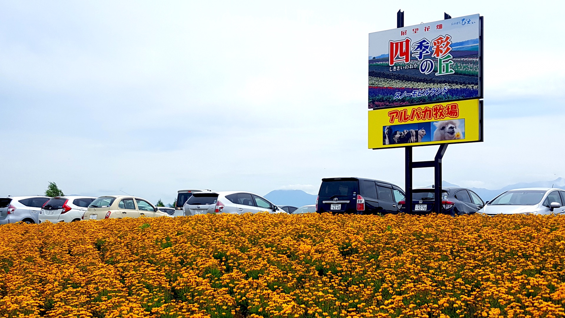 北海道自助遊攻略