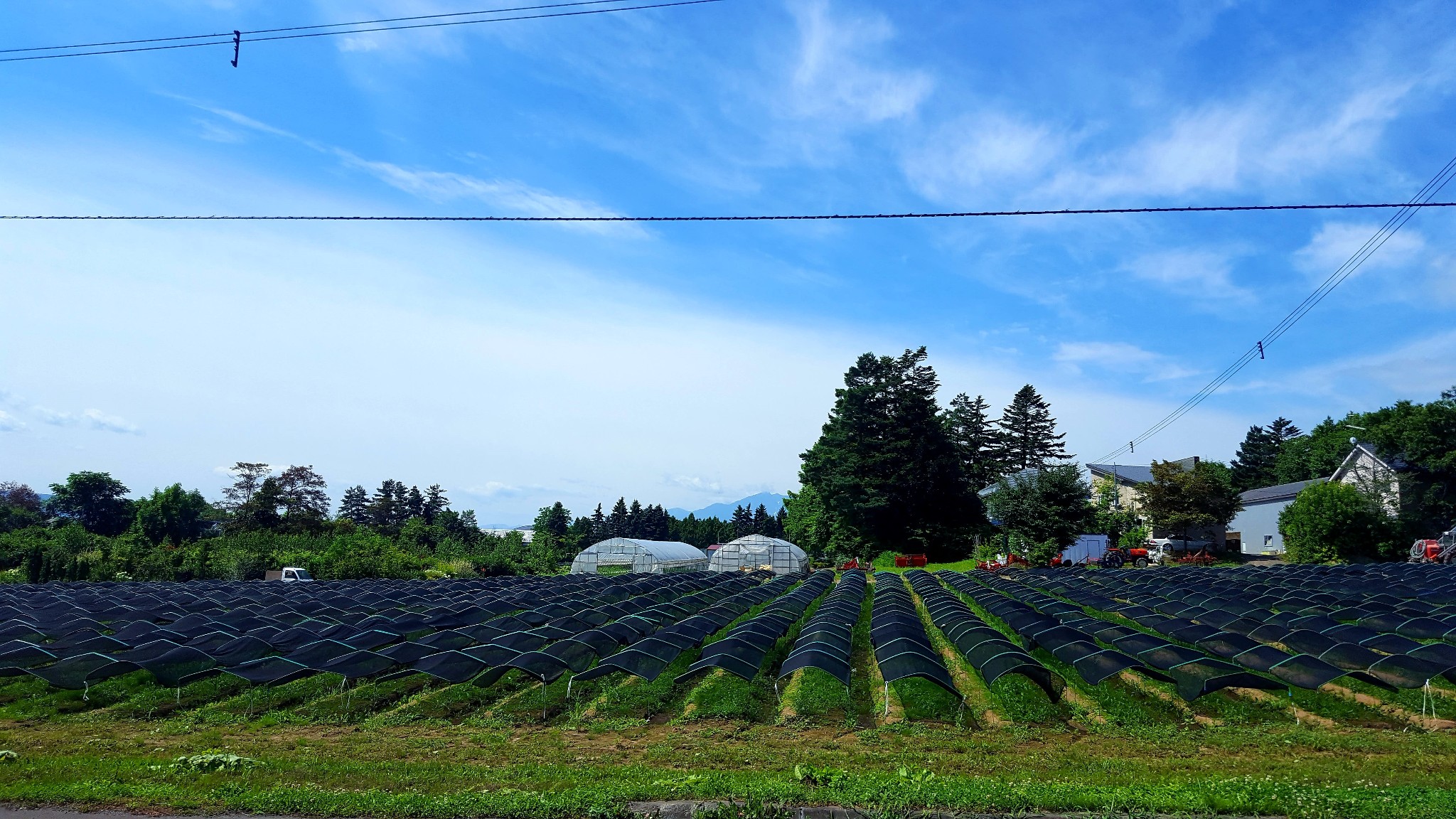 北海道自助遊攻略