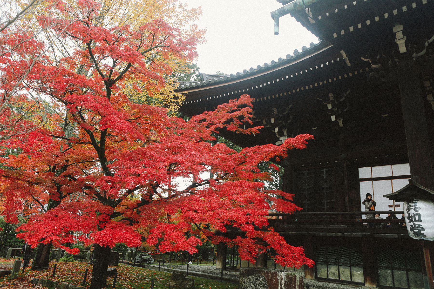 京都自助遊攻略