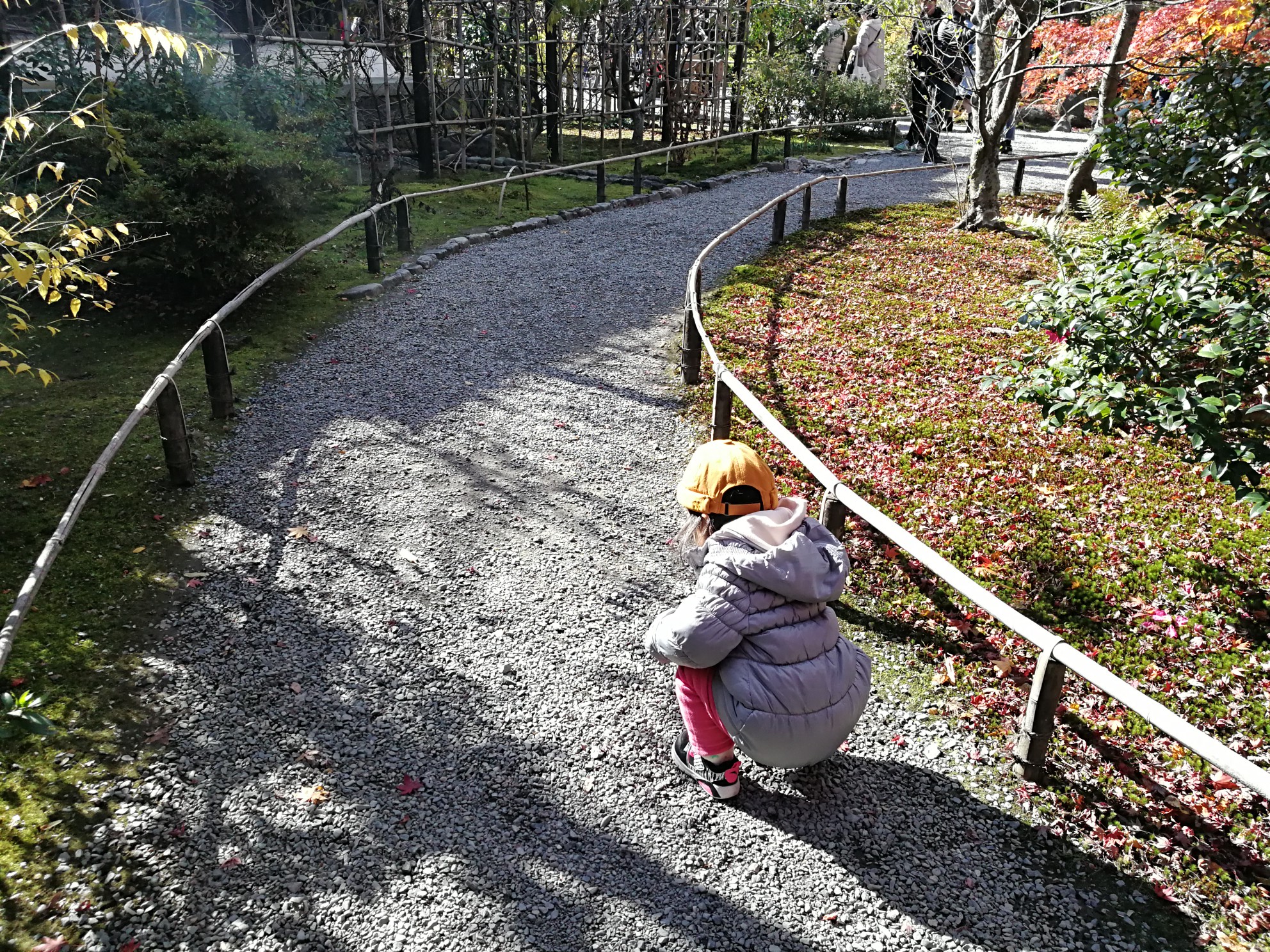 京都自助遊攻略