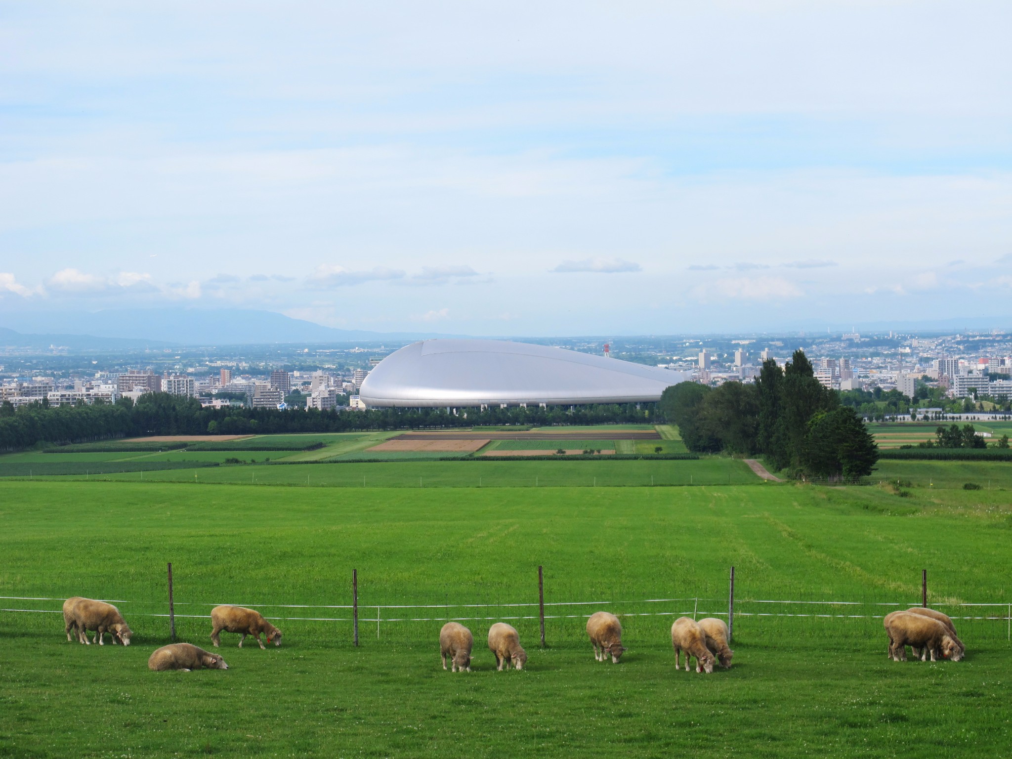 北海道自助遊攻略