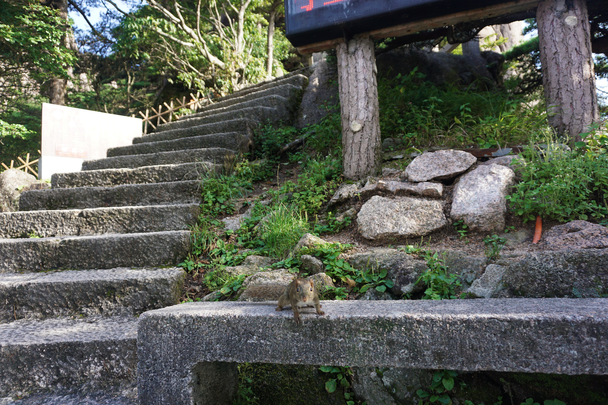 玉屏景区