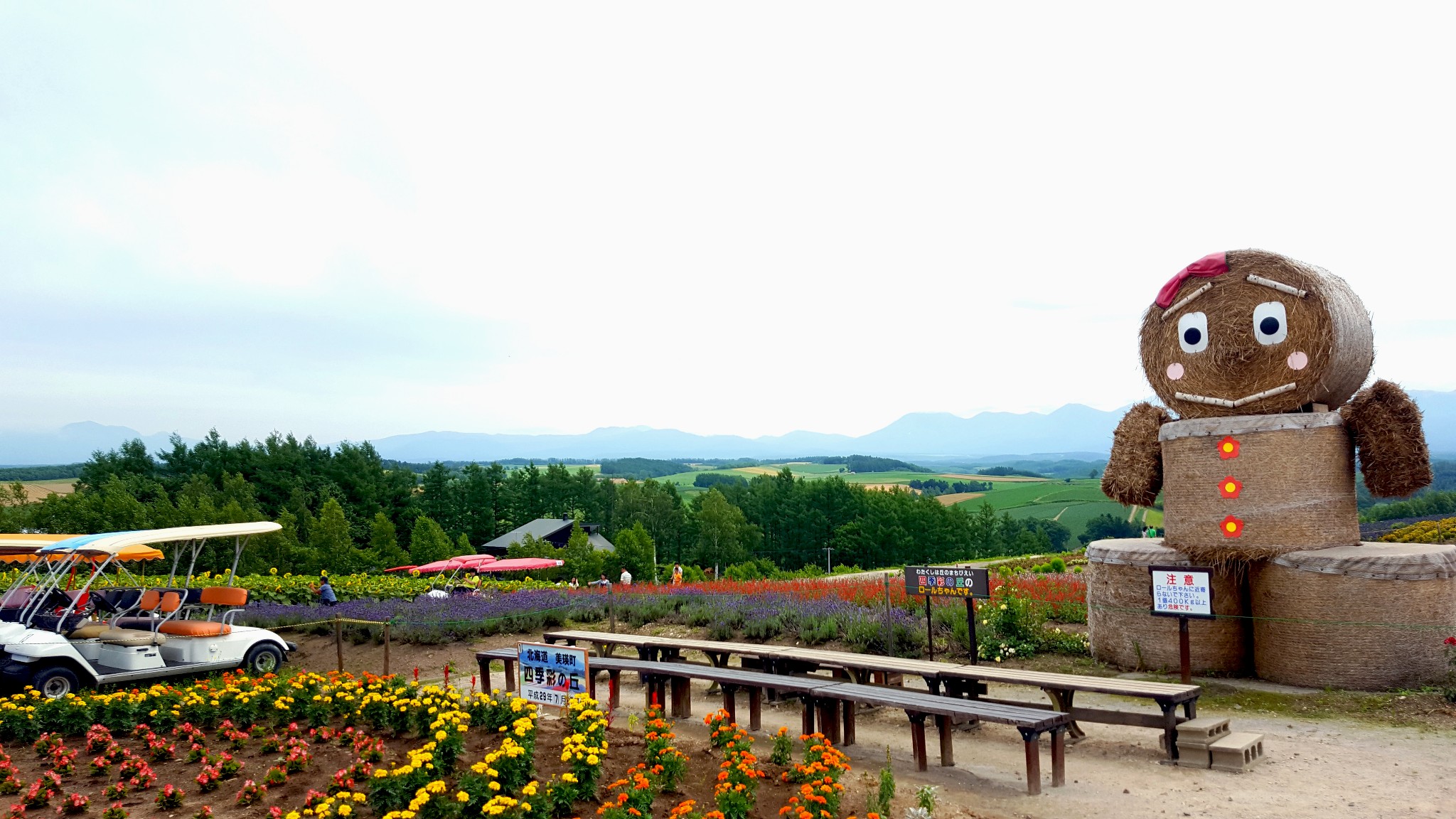 北海道自助遊攻略