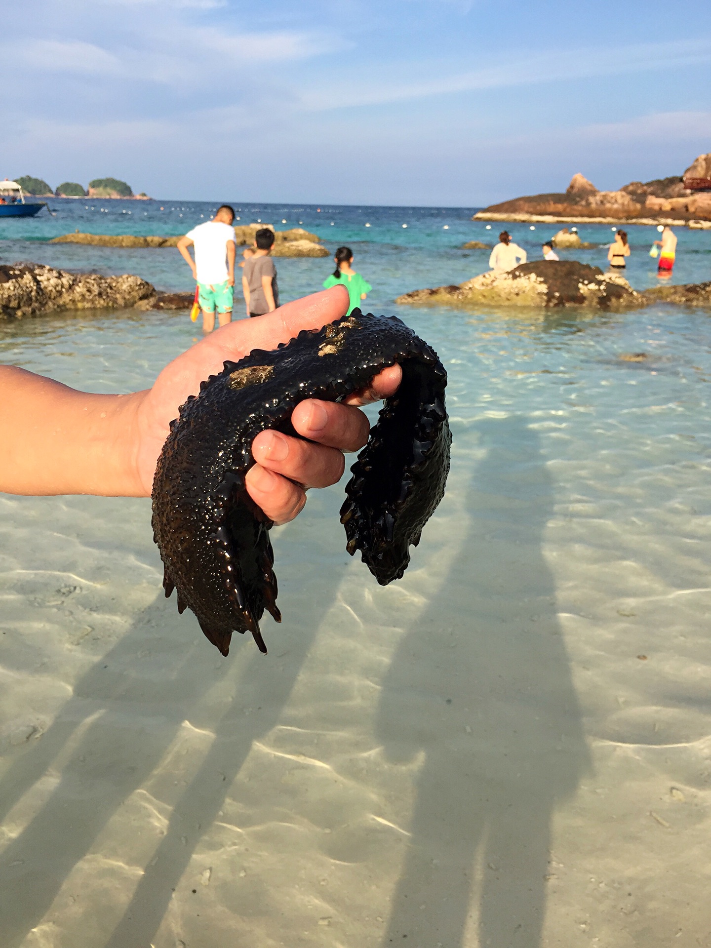 熱浪島自助遊攻略