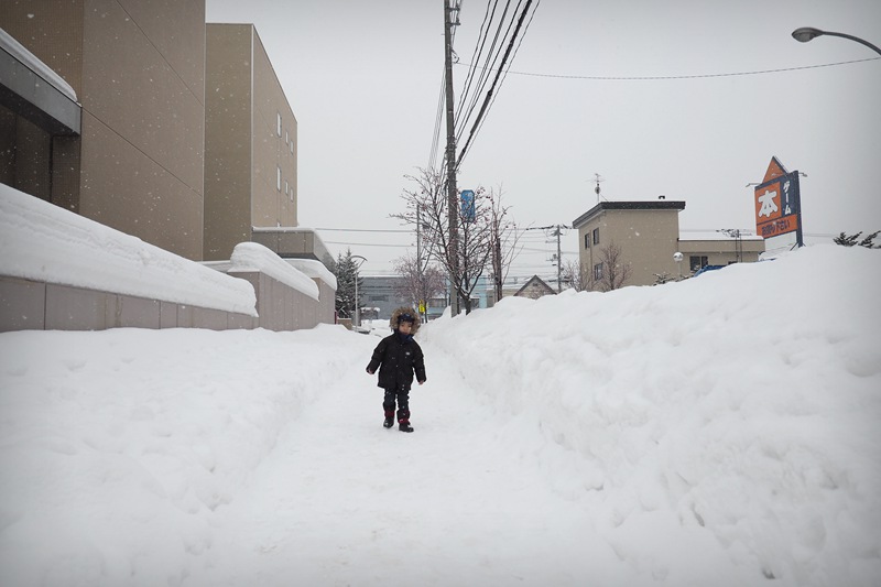 北海道自助遊攻略