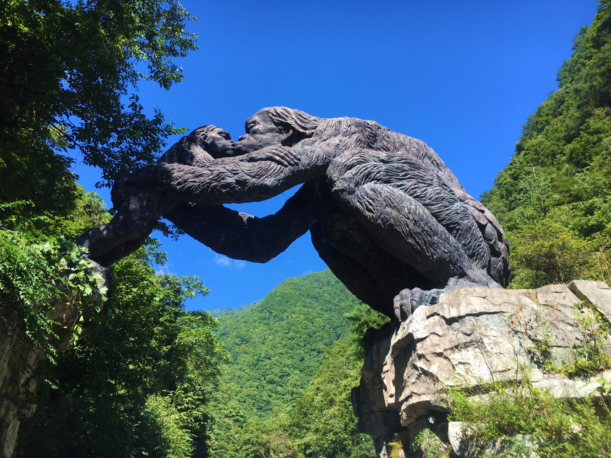 神农架太子垭游记, 太子垭旅游攻略, 太子垭自助游游记 - 马蜂窝