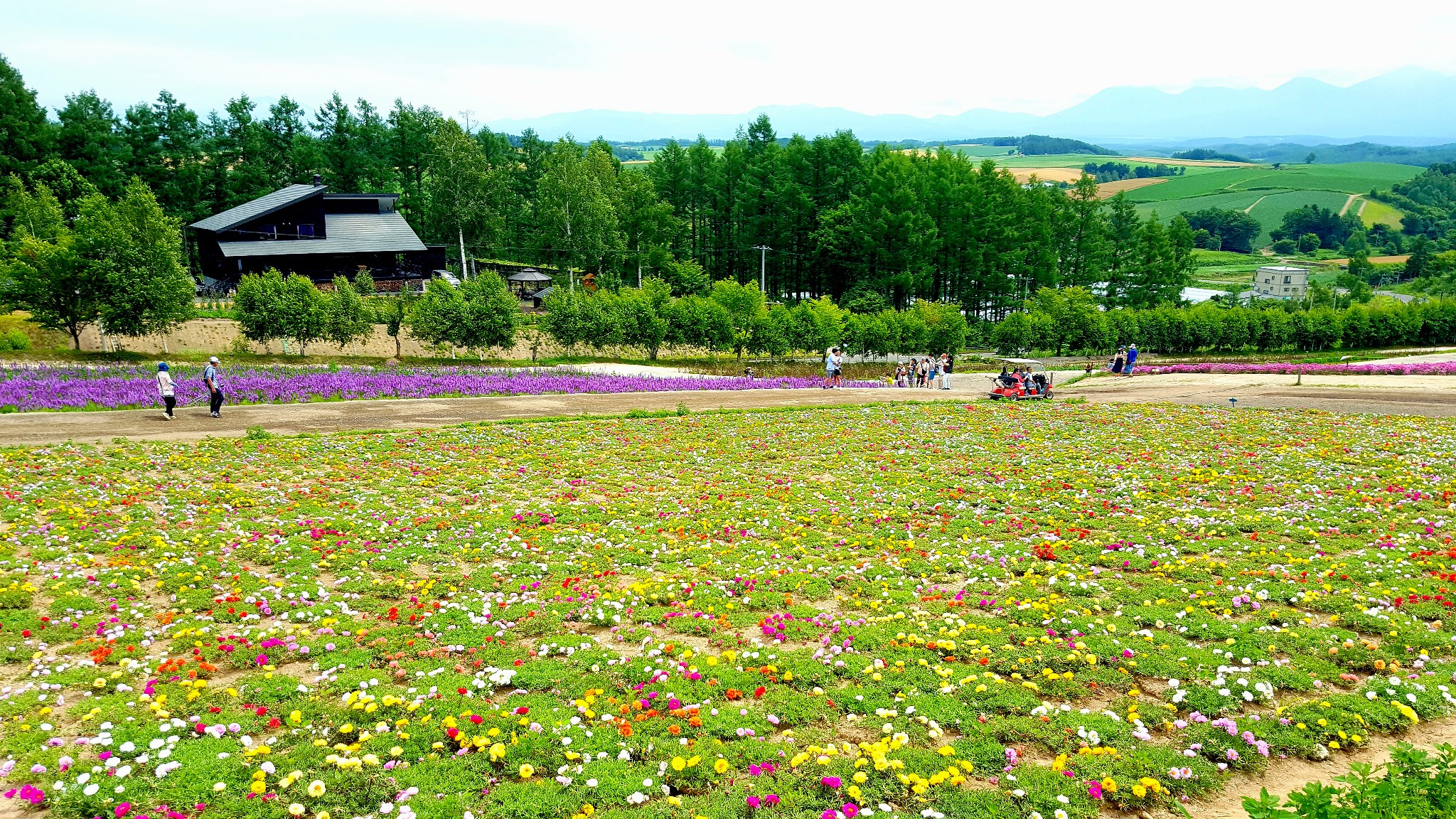 北海道自助遊攻略