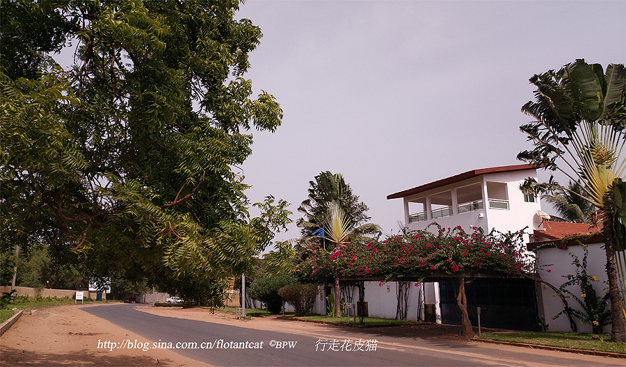 冈比亚非洲微笑海岸