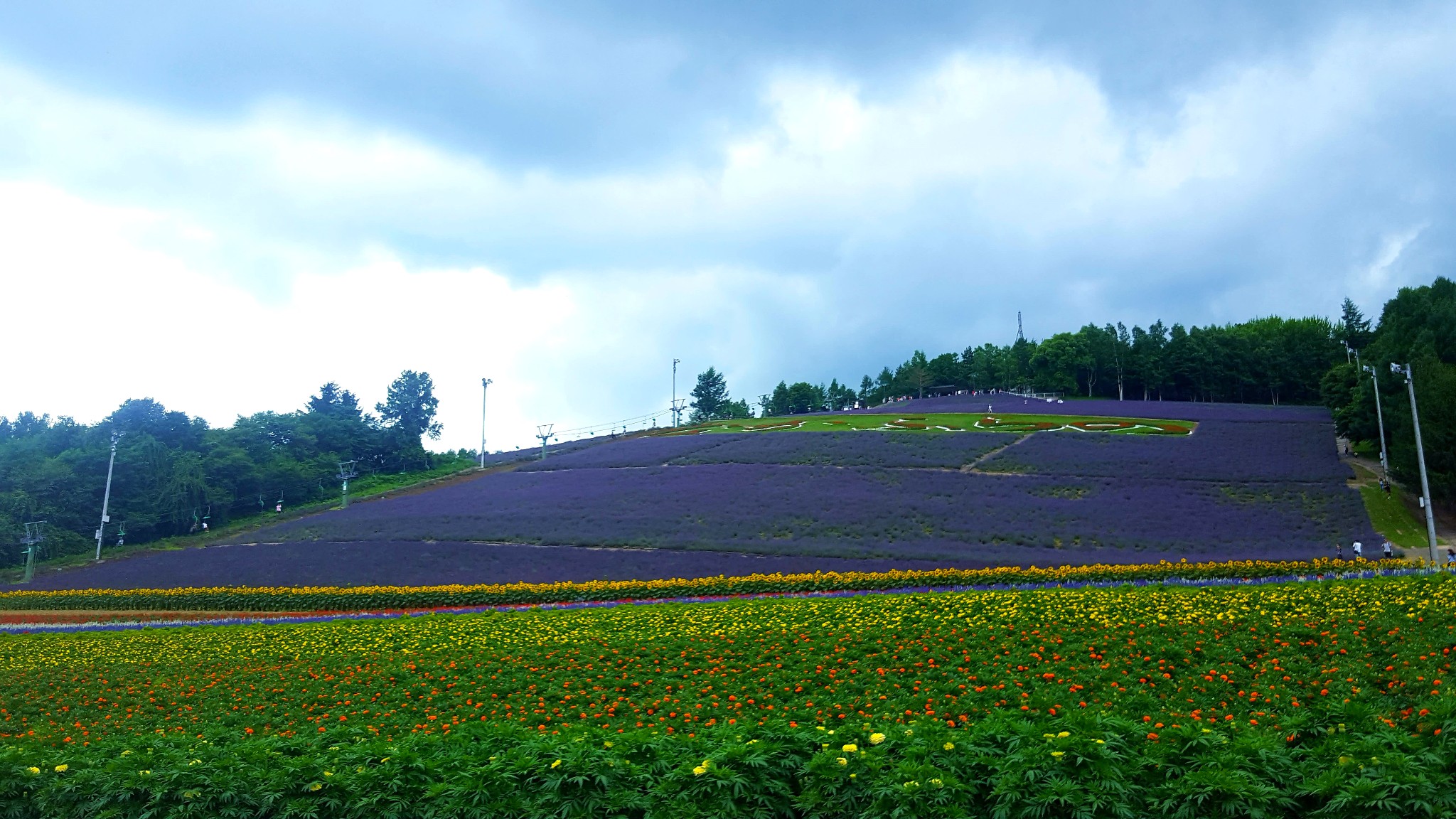 北海道自助遊攻略