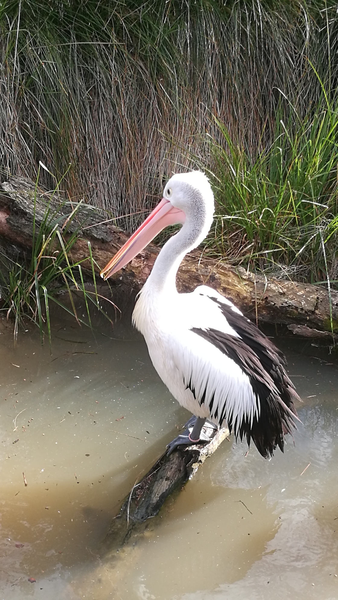 醍醐- 照片pk评论 - 照片pk - 马蜂窝