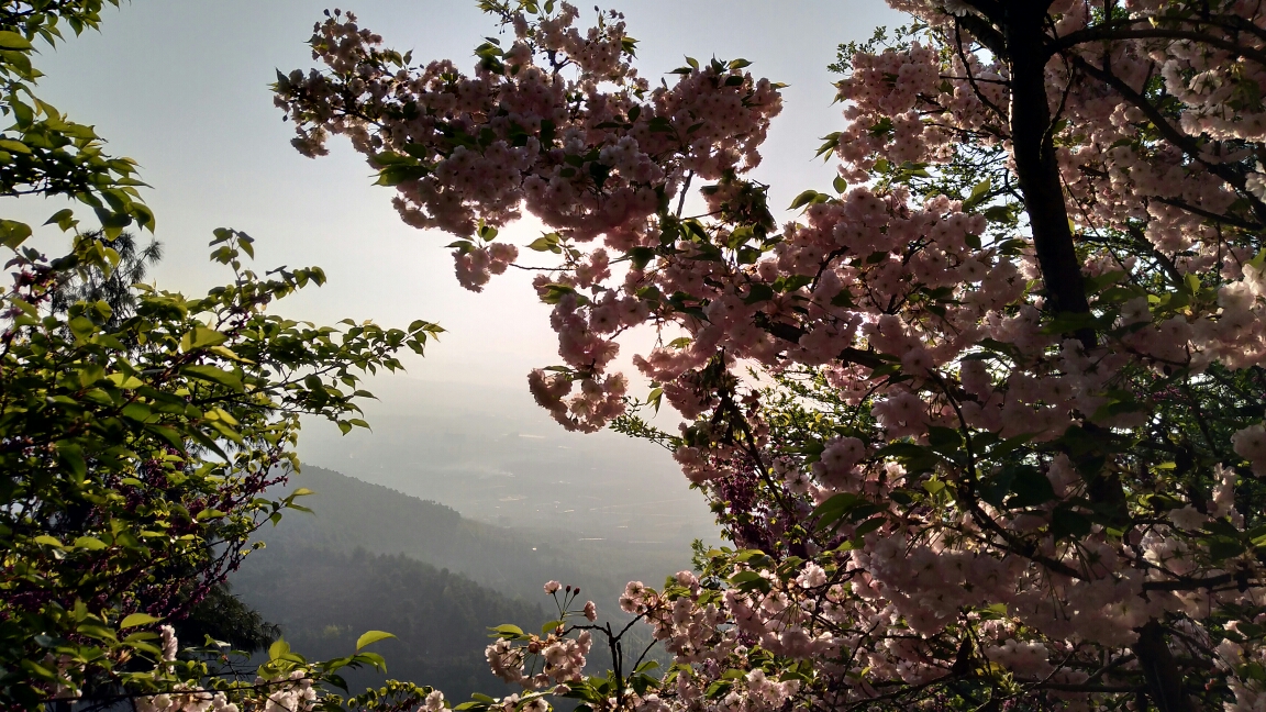 昭通鳳凰山早景