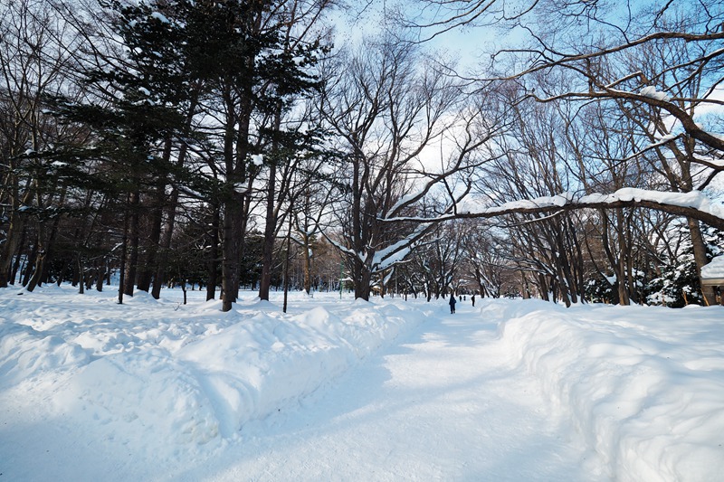 北海道自助遊攻略