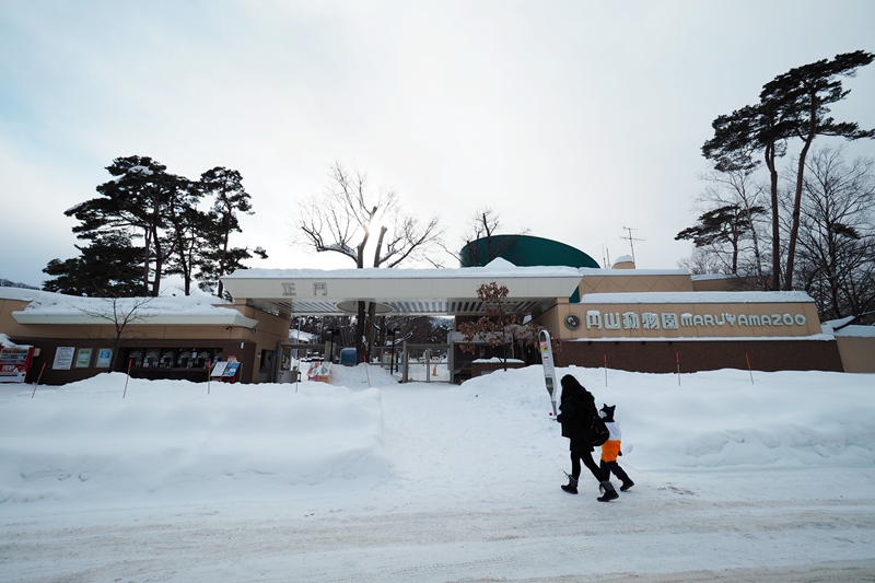 北海道自助遊攻略