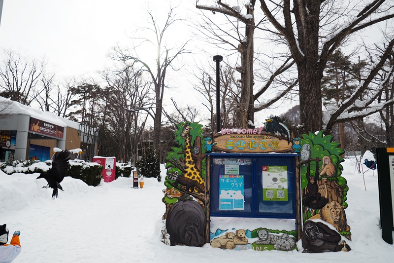 北海道自助遊攻略