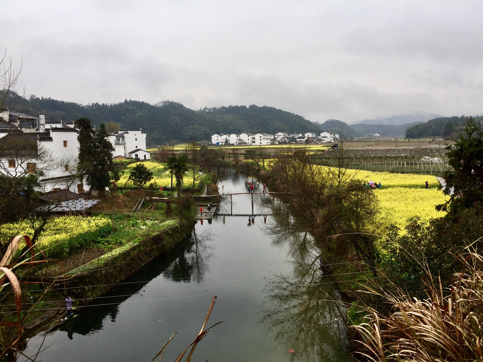 花香村纯山秀春色