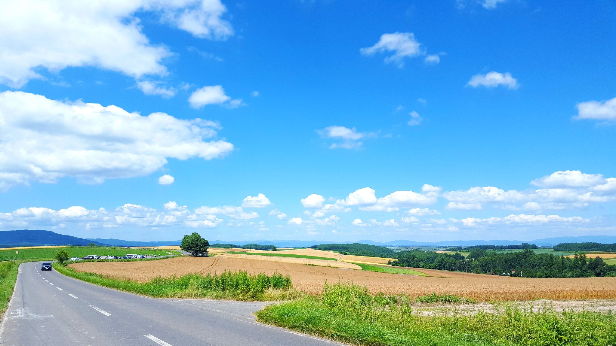 北海道自助遊攻略