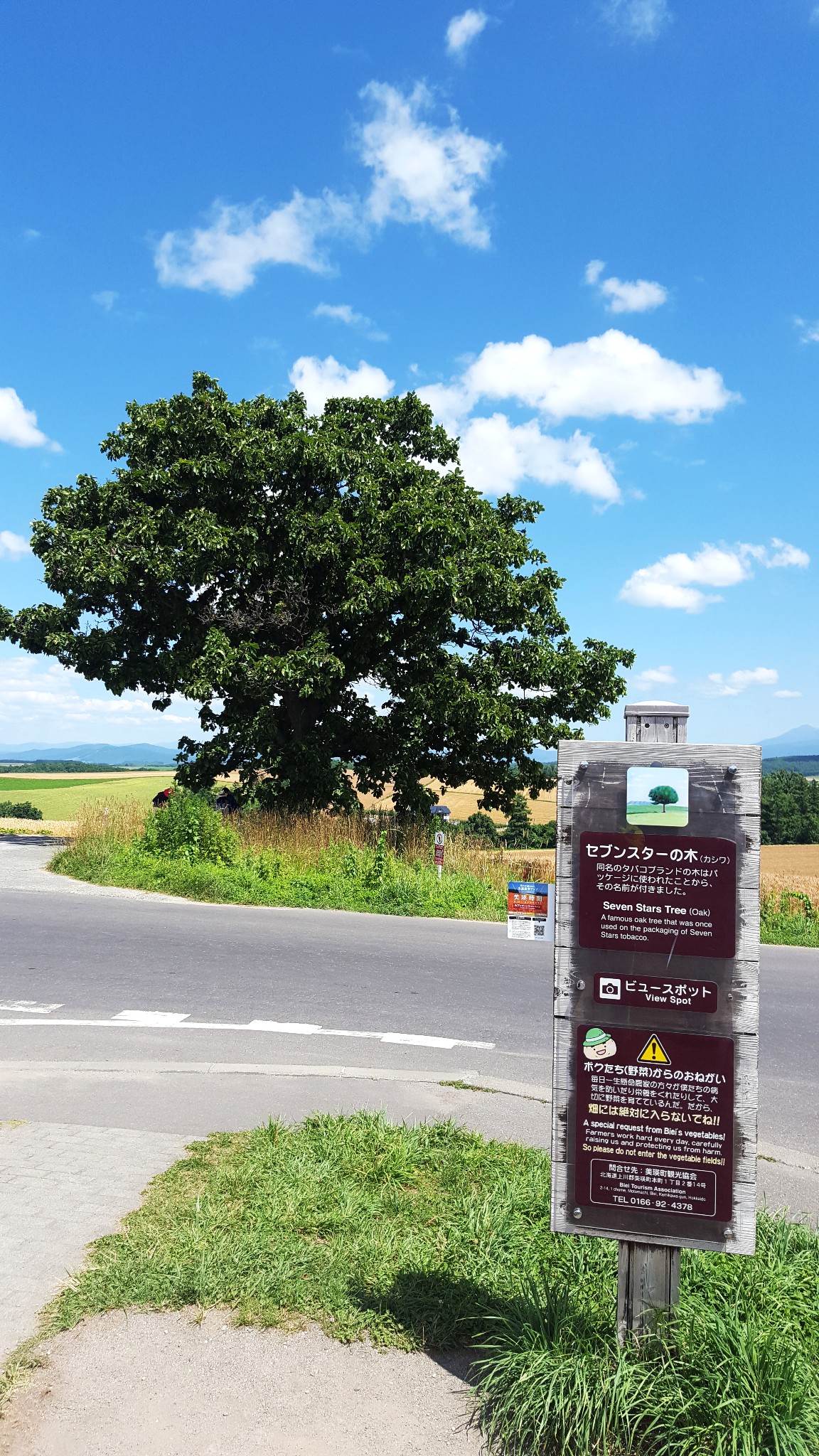 北海道自助遊攻略