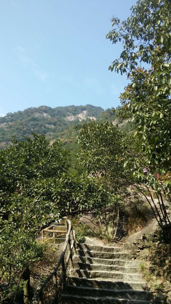 73101黄山赏油菜花指南,再也不用去婺源扎堆啦132597