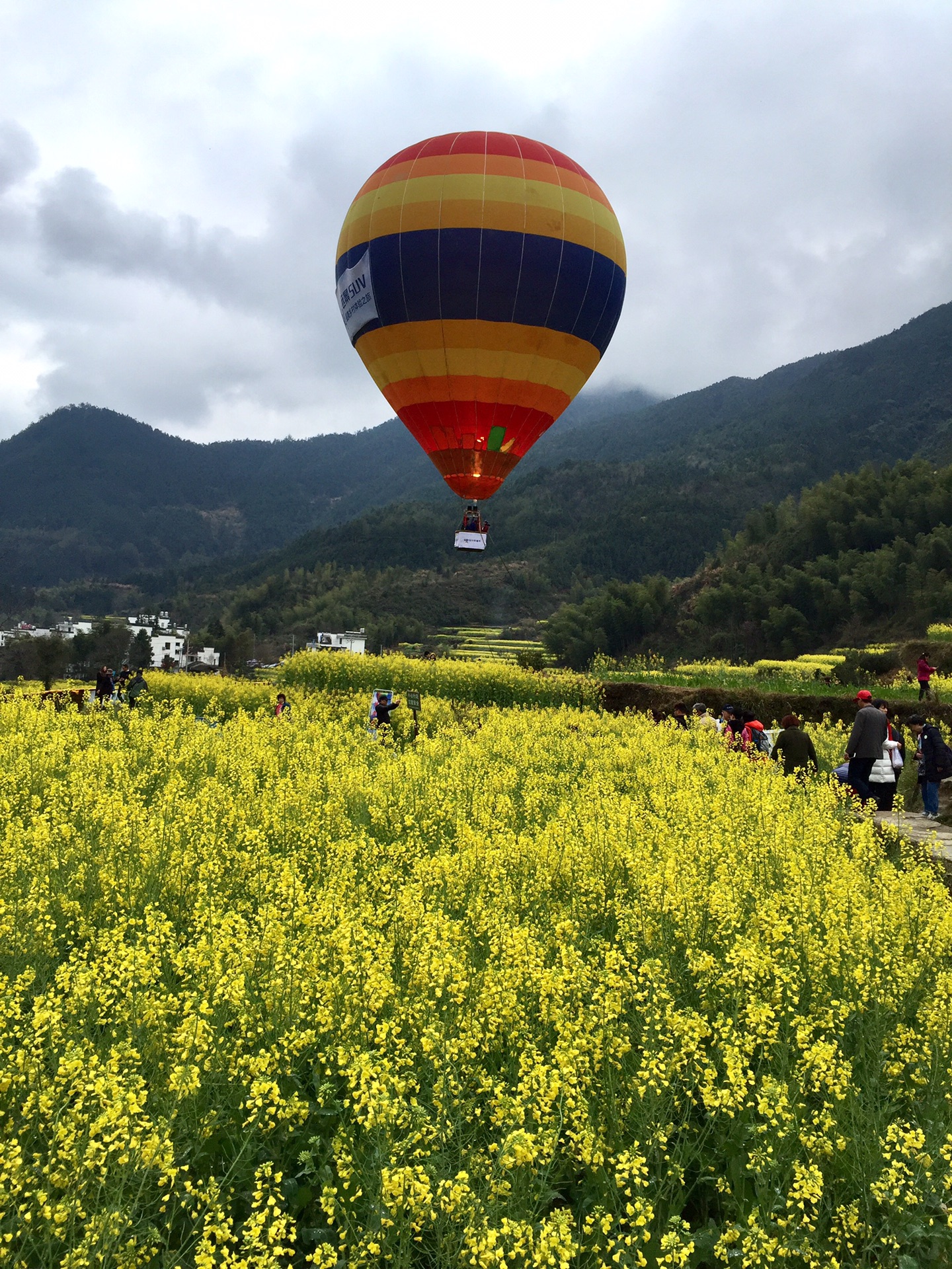 花香村纯山秀春色