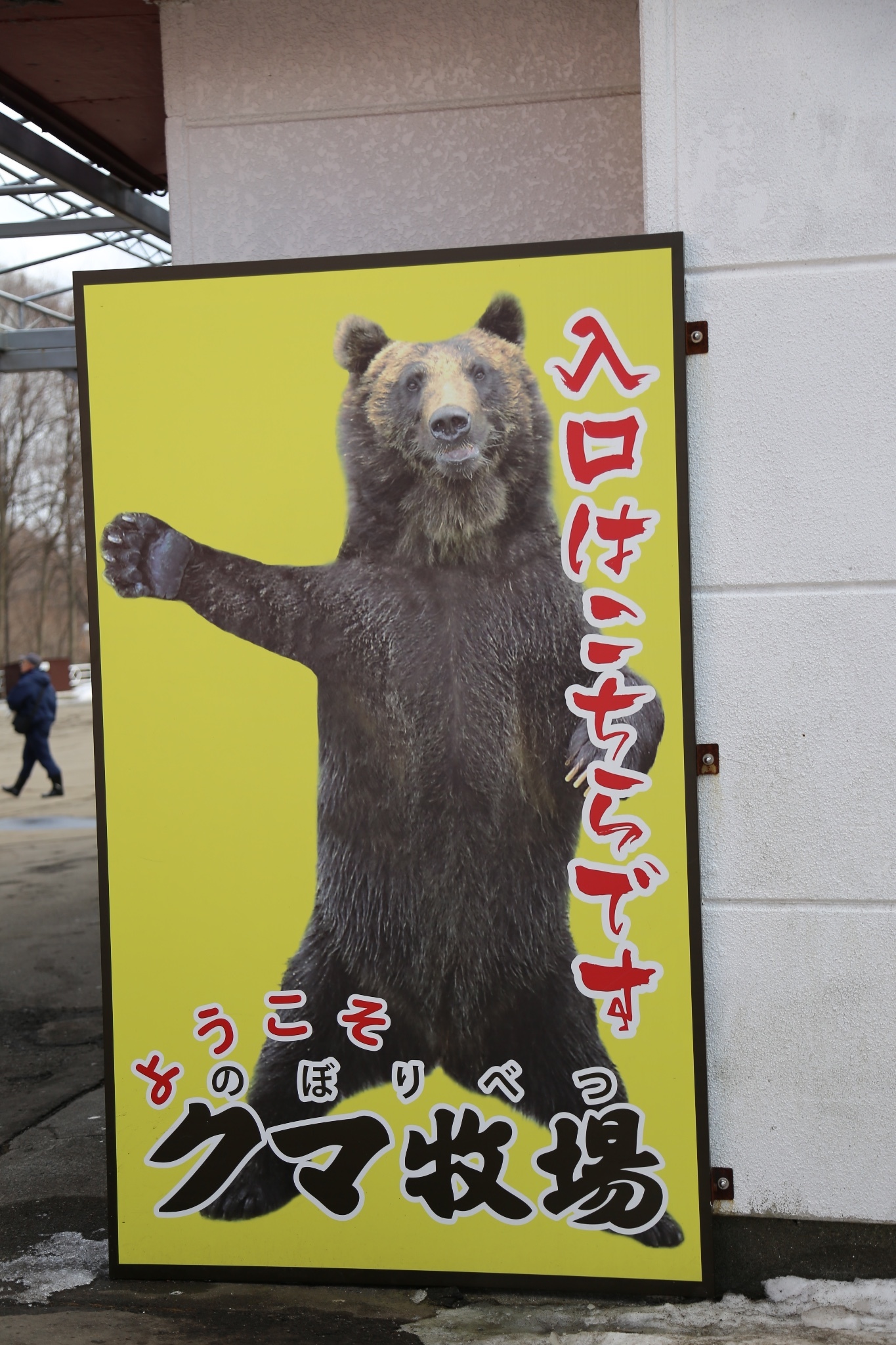 北海道自助遊攻略