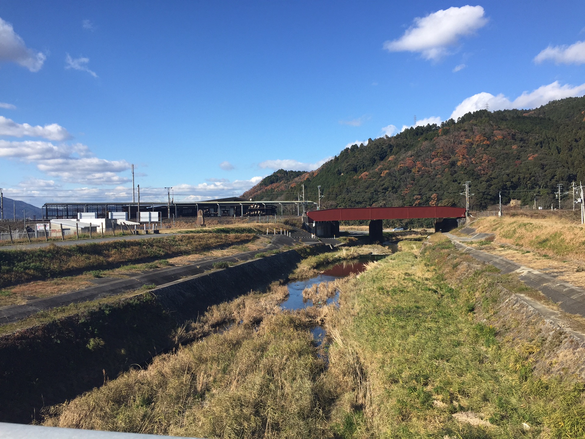 京都自助遊攻略