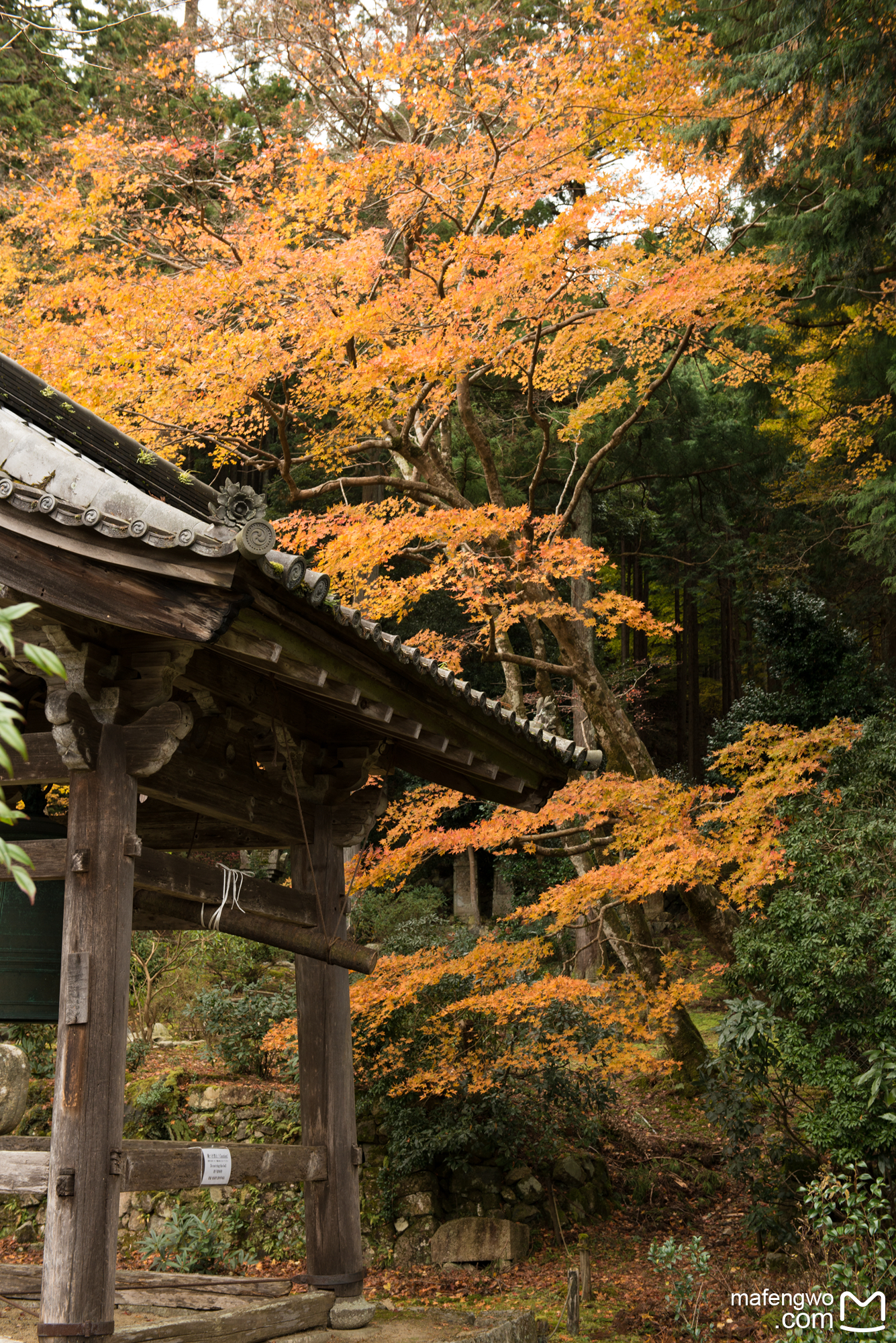 京都自助遊攻略