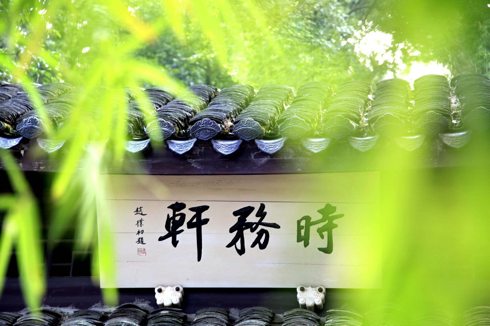旅行图片