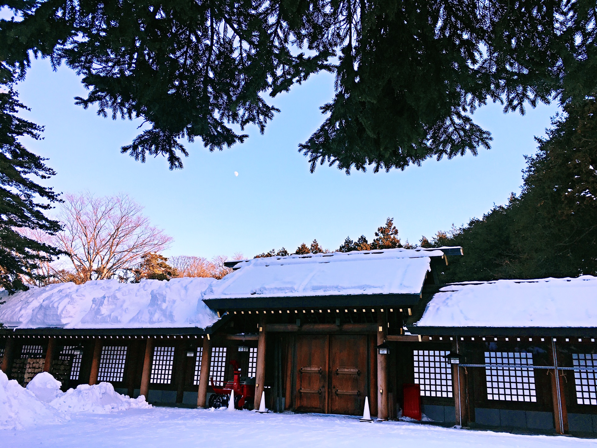 札幌自助遊攻略