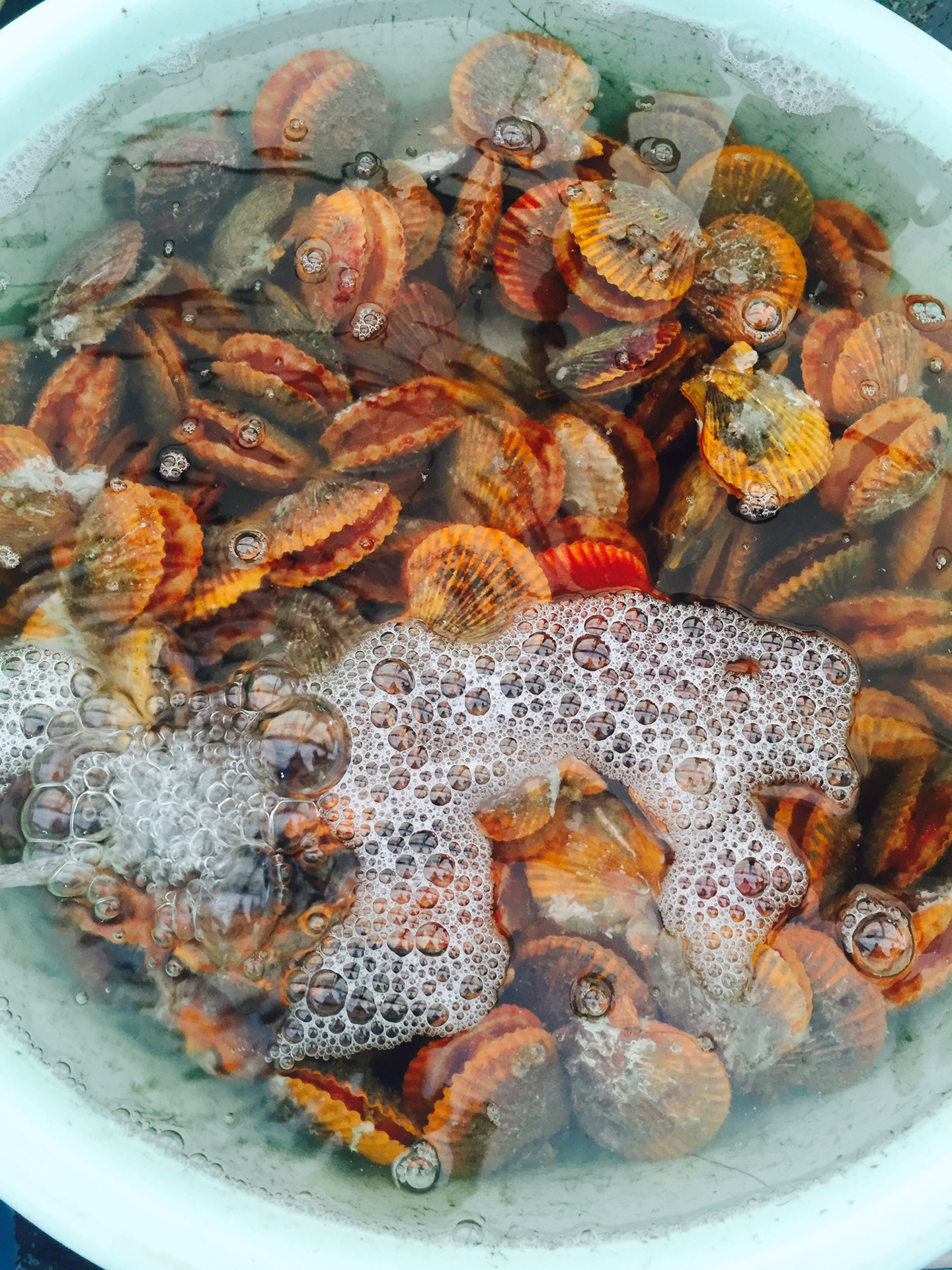 珍珠·龙虾·潜水·玻璃房