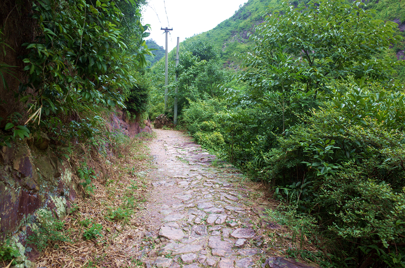 十一自駕探訪浙南礬山丨挑礬古道遊記